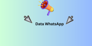 data whatsapp