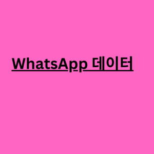 whatsapp 데이터